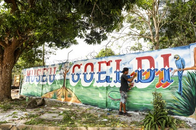 Estética de artista ribeirinho renova entrada do Campus de Pesquisa. 