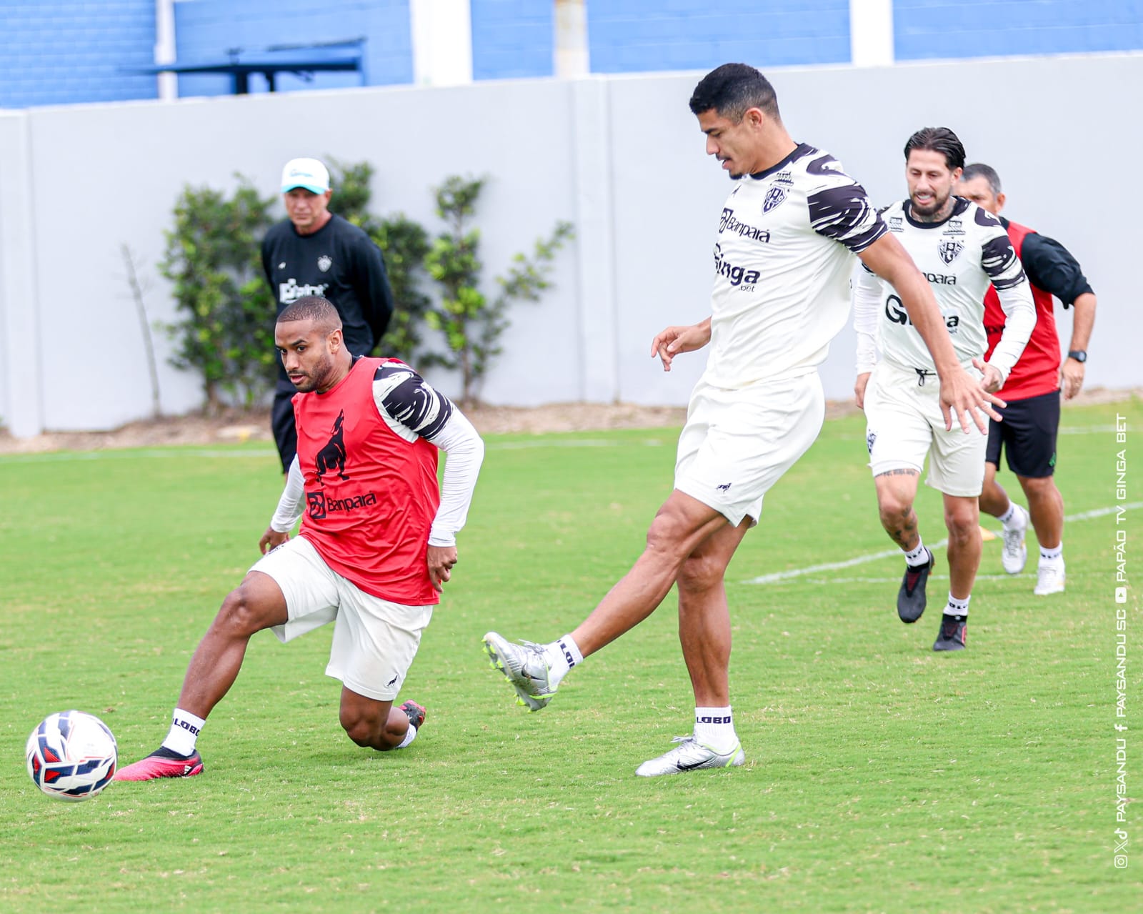 Imagem - Paysandu enfrenta o Criciúma com desfalques importantes na Série B