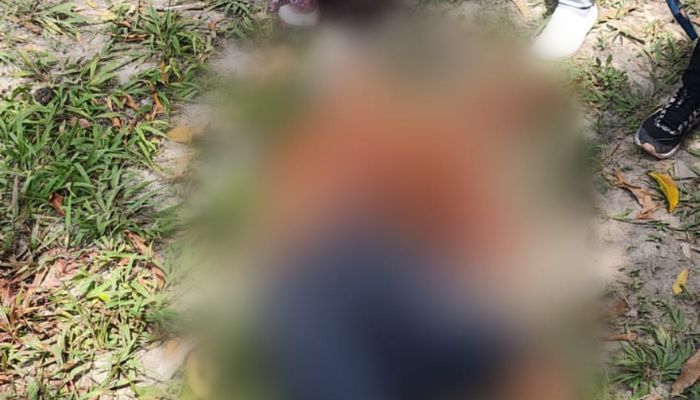 Imagem - Homem é encontrado morto com marcas de facadas na zona rural de Muaná, no Marajó