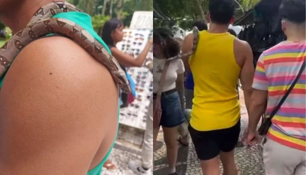 Jiboia é vista passeando com tutor na Praça da República e chama atenção nas redes sociais