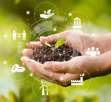Imagem - Veja os temas de ecologia mais cobrados nos vestibulares