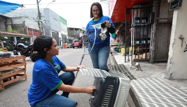 Animais abandonados serão resgatados em Belém