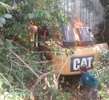 Imagem - ICMBio realiza operação de combate a gado ilegal e aplica R$ 22 milhões em multas no Pará