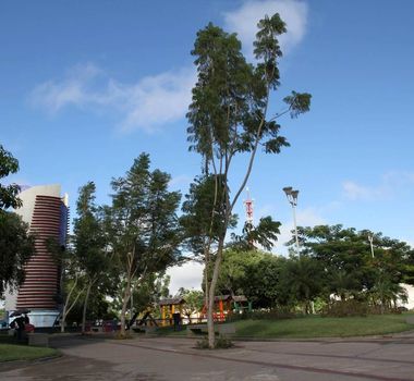 Imagem - Paragominas será palco do 'Capim Rumo à COP30' com agenda sustentável no Pará