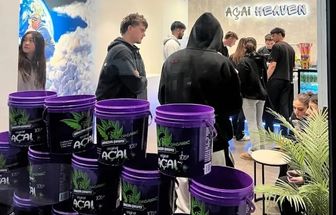 Holanda, Austrália e Japão aumentam interesse pelo açaí produzido no Pará