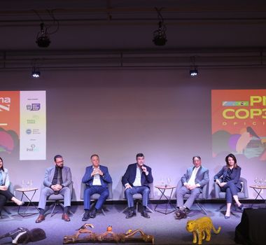 Imagem - Estados do Pantanal discutem demandas e prioridades para a COP30