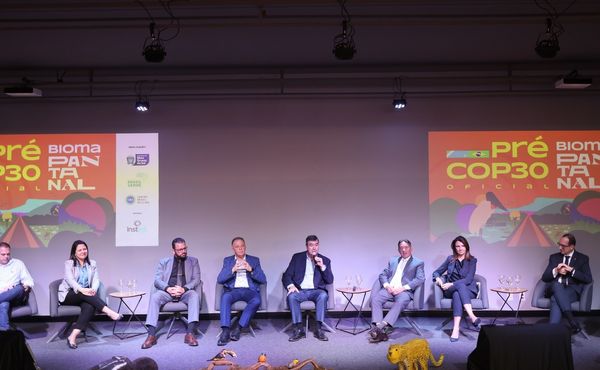 Estados do Pantanal discutem demandas e prioridades para a COP30