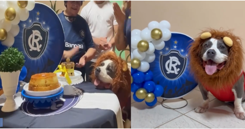 Cachorro azulino ganha festa de 'auniversário' com tema do Remo