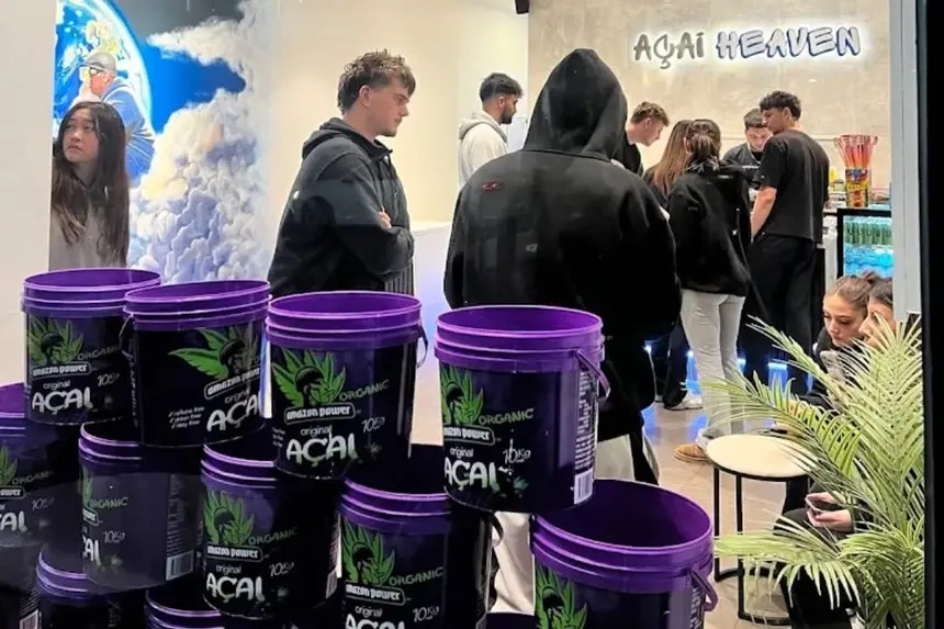 O açaí produzido com hegemonia pelo Pará ganhou o mundo. 