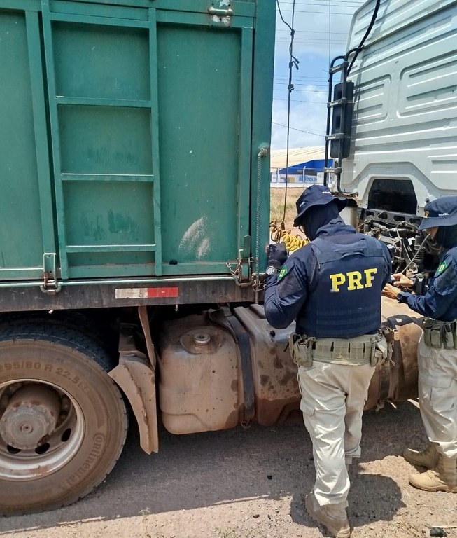 Carga apresentou divergência entre a espécie declarada em documento florestal e a realmente transportada