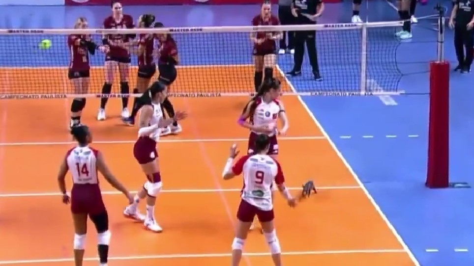 Imagem - Vídeo: gambá invade quadra em semifinal do Paulista de vôlei