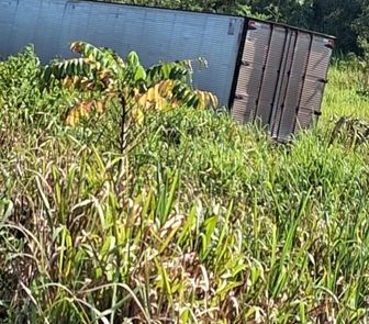 Imagem - Homem morre em acidente com carreta de aparelhagem na BR-010