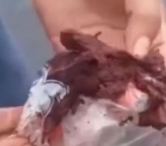 Imagem - Homem faz denúncia sobre açaí adulterado