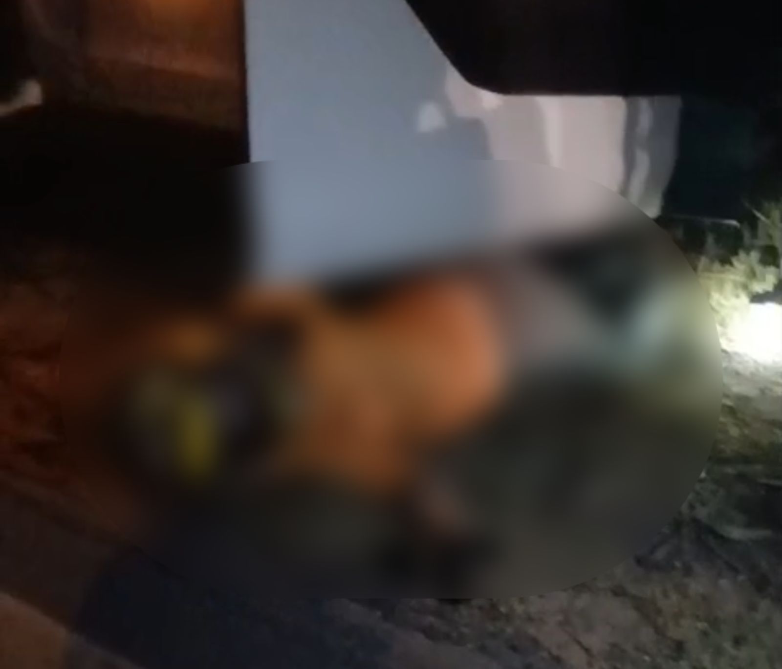 Imagem - Vídeo: mototaxista morre após colidir com ônibus em estrada no Pará