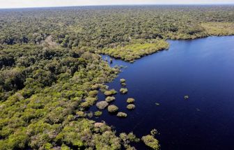 Brasil é finalista do Prêmio Earthshot com fundo inédito para conservação de florestas
