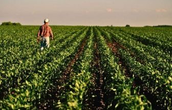 COP30 poderá mostrar a agricultura tropical sustentável brasileira para o mundo, diz pesquisador