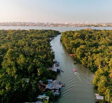 Imagem - Reparação florestal pode render valor milionário à países tropicais