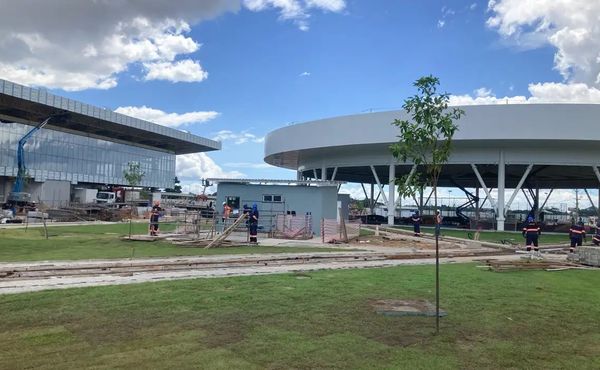 Casas feitas com cimento de caroço de açaí serão construídas em Belém