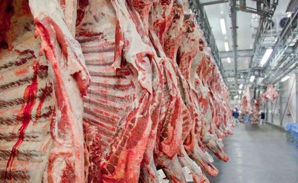 Exportação de carne bovina do Brasil bate recorde mesmo com tarifaço dos EUA