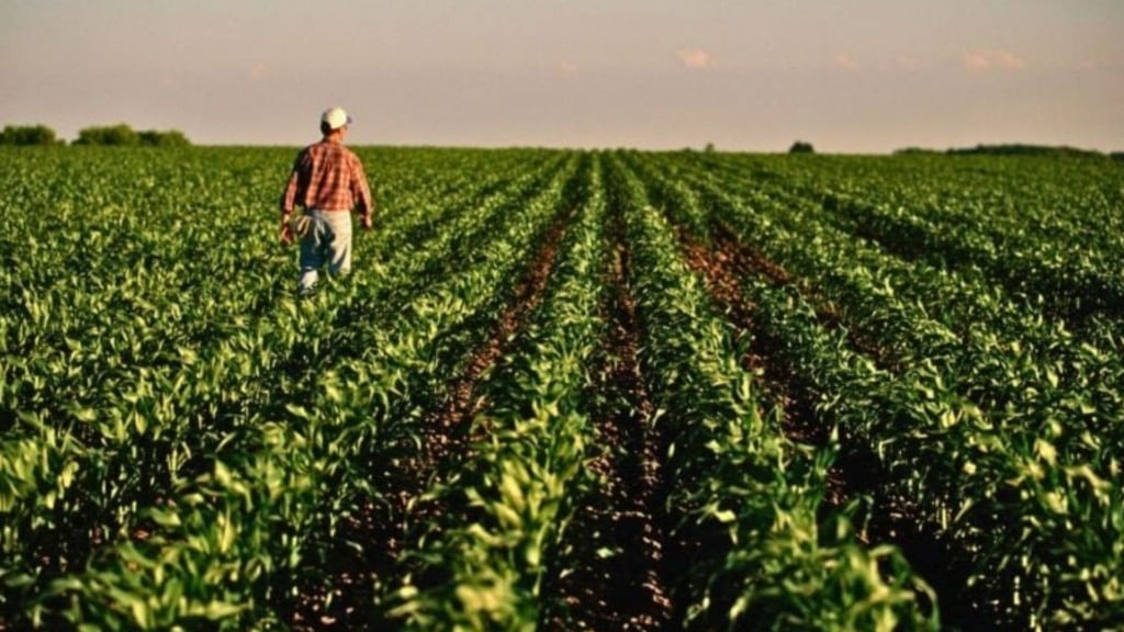 Imagem - COP30 poderá mostrar a agricultura tropical sustentável brasileira para o mundo, diz pesquisador