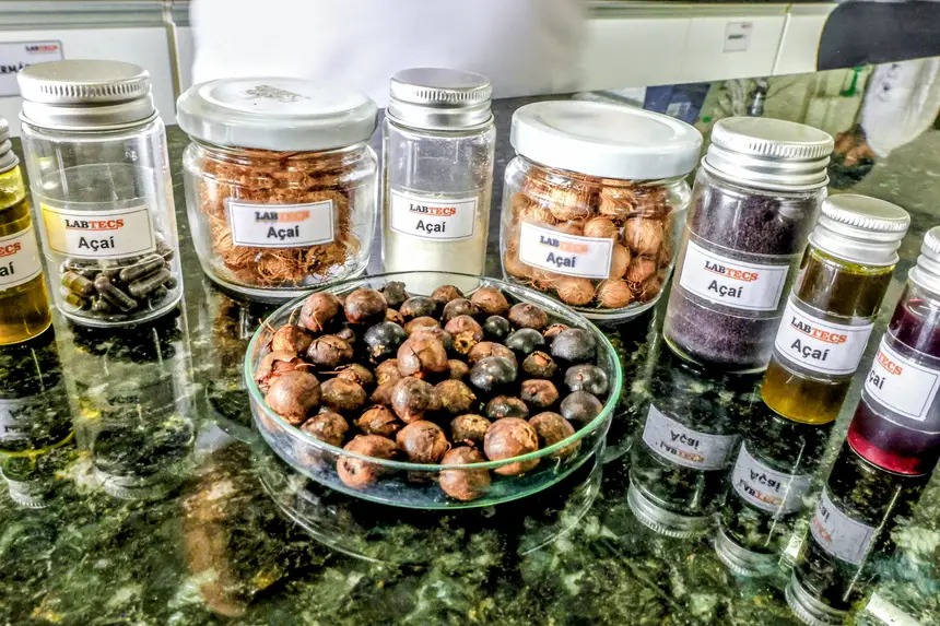 Imagem - Azeite de açaí é desenvolvido com tecnologia limpa no PCT Guamá, em Belém