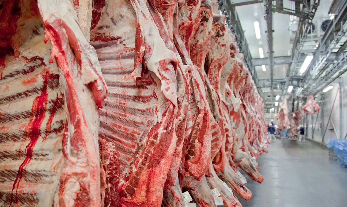 Carne do Brasil