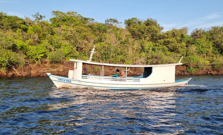 Imagem - Mutirão inclui 2,7 mil famílias extrativistas como beneficiárias da reforma agrária no Pará