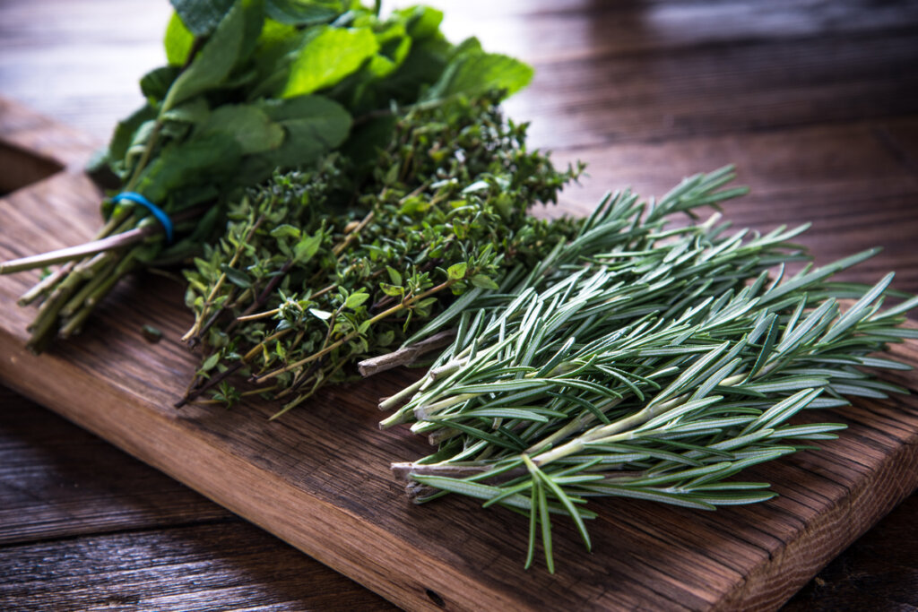 Ervas frescas trazem frescor, aroma e personalidade aos pratos (Imagem: marcin jucha | Shutterstock)
