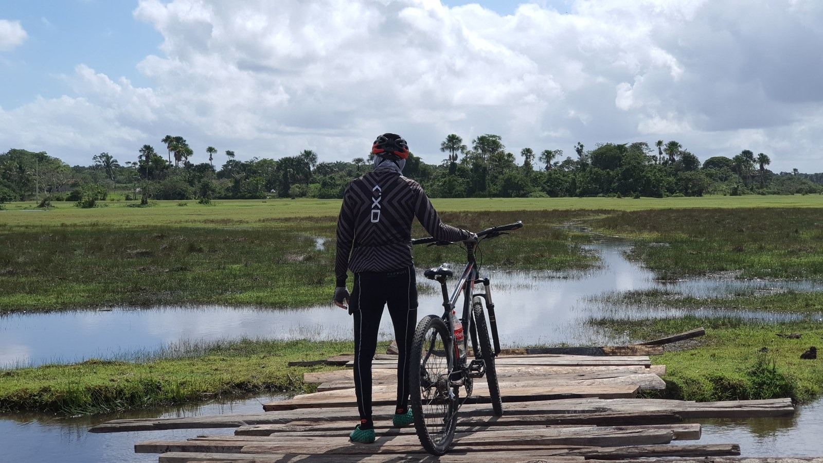 Imagem - Maior trilha sinalizada da América Latina será inaugurada na COP30