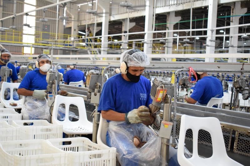 Empregos na indústria estão em alta