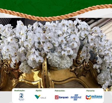 Imagem - Ornamentação da berlinda do Círio 2025 celebra a delicadeza e a fé através das flores