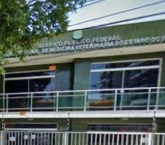 Imagem - Concurso do Conselho de Medicina Veterinária do Pará oferta 90 vagas; confira