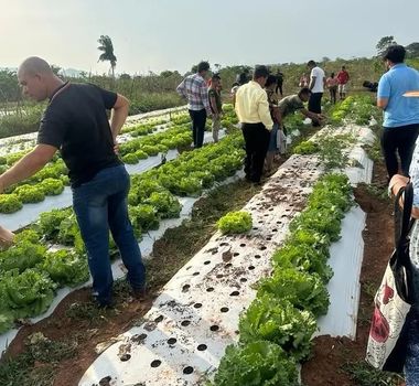Imagem - Agrônomos fortalecem o desenvolvimento sustentável no Pará