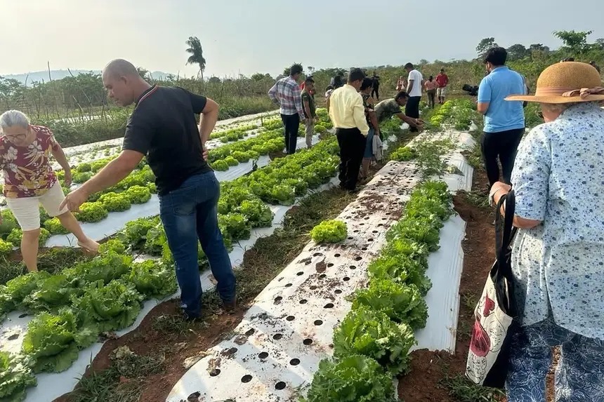 Imagem - Agrônomos fortalecem o desenvolvimento sustentável no Pará