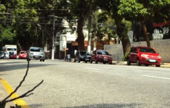 Trânsito na área de queda de árvore continua lento