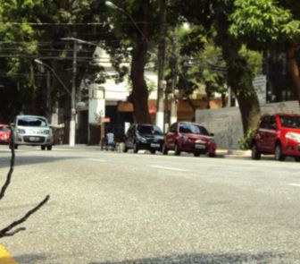 Imagem - Trânsito na área de queda de árvore continua lento
