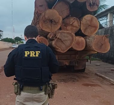 Imagem - PRF apreende madeira ilegal em estradas federais no Pará