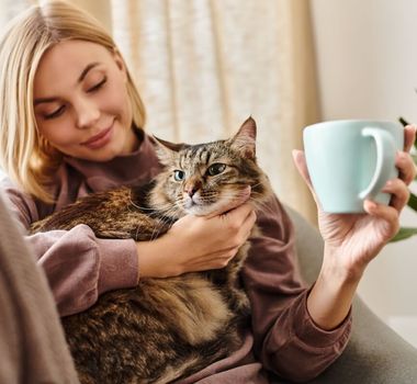 Imagem - 10 nomes ideais para gatos carinhosos 