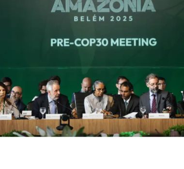 Imagem - Iniciativas lançadas em COPs foram descontinuadas