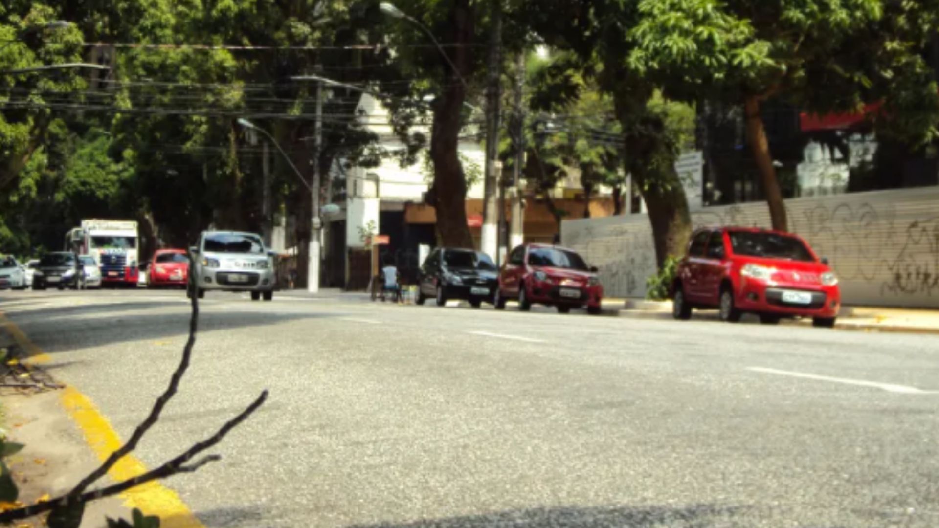 Generalíssimo continua com trecho lento após queda de galho