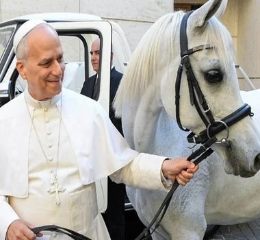 Imagem - Vídeo: Papa Leão ganha cavalo de raça árabe