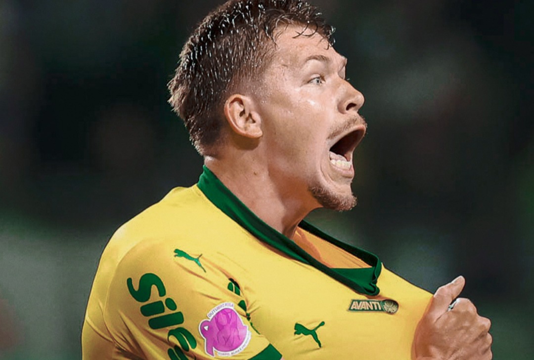 Palmeiras na ponta do Brasileirão -