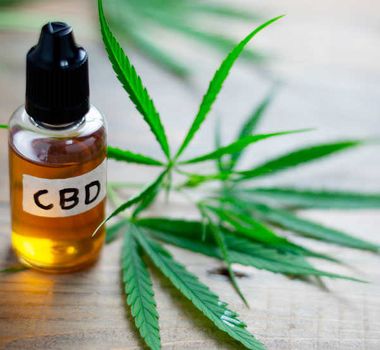 Imagem - Anvisa proíbe empresa de vender produtos à base de cannabis e cogumelos