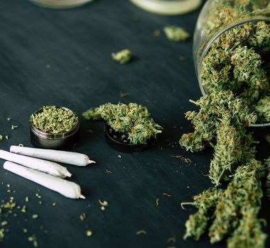 Imagem - Estudo aponta fator genético no desenvolvimento de dependência em cannabis
