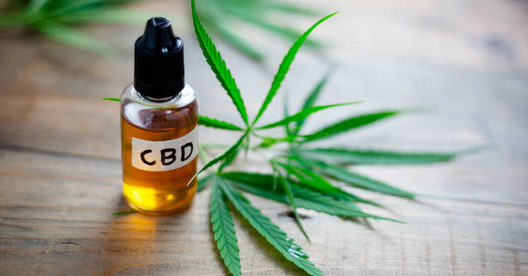Imagem - Anvisa proíbe empresa de vender produtos à base de cannabis e cogumelos