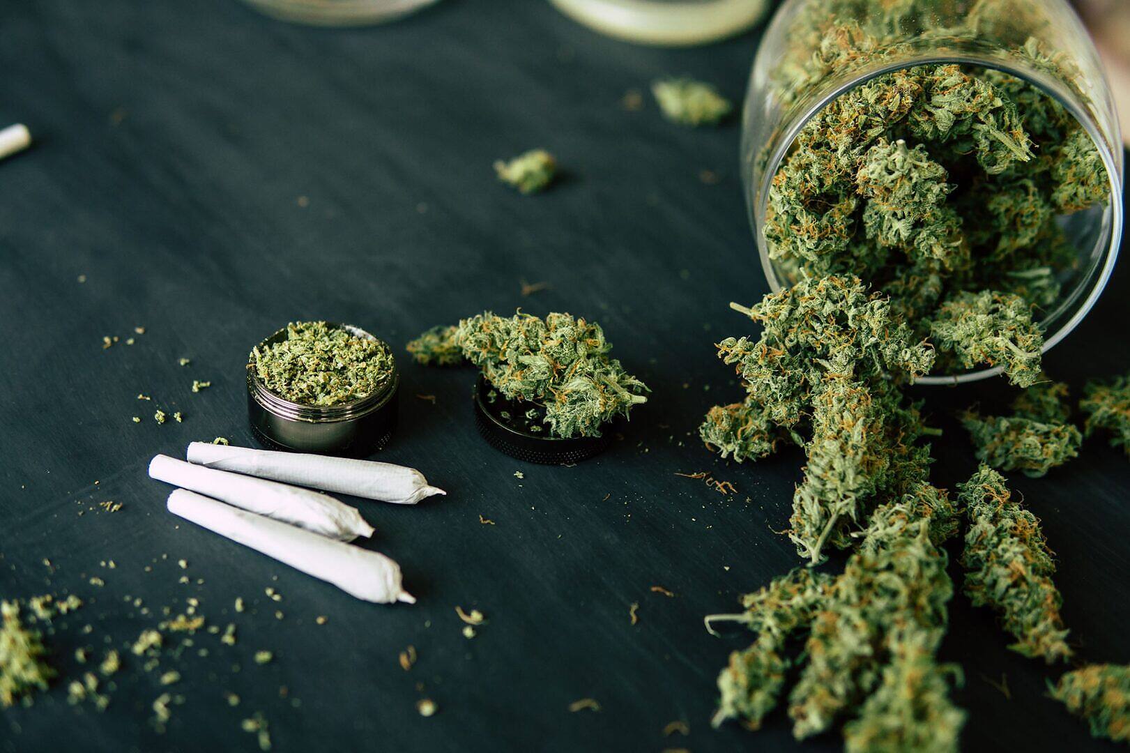 Estudo aponta fator genético na dependência em cannabis