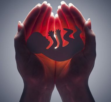 Imagem - STF forma maioria e derruba decisão de Barroso sobre aborto legal
