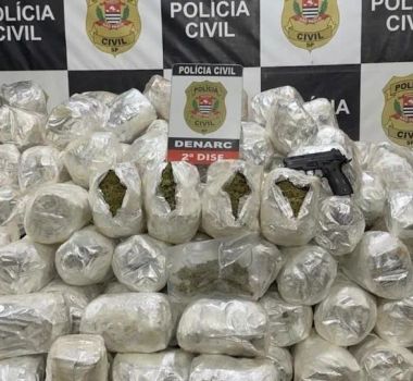 Imagem - Caminhoneiro é preso com 130 kg de drogas em operação da Polícia Civil de São Paulo