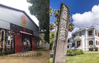 Museu das Amazônias e Museu do Jardim Botânico debatem redução das chuvas na floresta amazônica