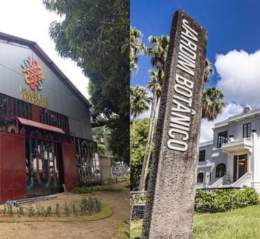 Imagem - Museu das Amazônias e Museu do Jardim Botânico debatem redução das chuvas na floresta amazônica
